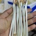 花生芽大量供应，一手货源，价格优惠，欢迎采购