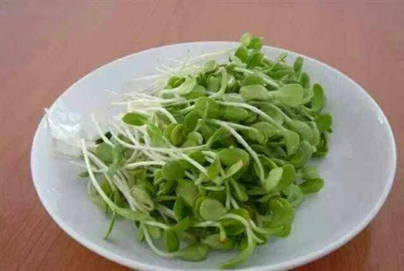 水培豌豆苗一手货源，价格优惠，欢迎采购看货