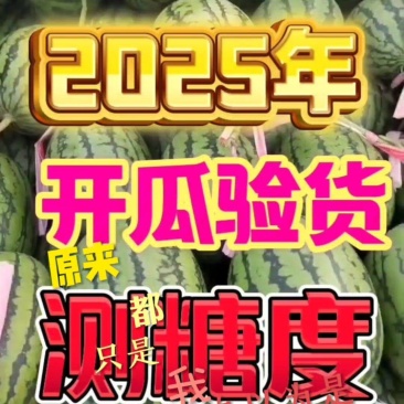 全美2K西瓜冰淇淋小糖丸牛奶爆瓜早春红玉L600