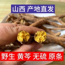 黄芩大货，各种规格