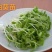 油葵苗