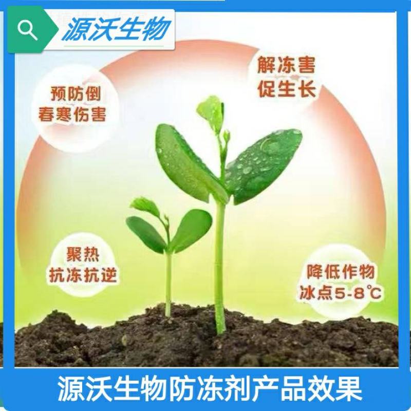 抗寒防冻液，零下20度不受冻害，抗冻，壮苗，增产。
