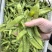 荷兰豆，夹豆，大量有货，承结市场，平台，超市支持视频看货