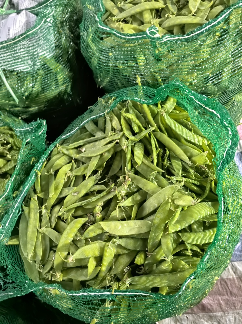 荷兰豆，夹豆，大量有货，承结市场，平台，超市支持视频看货