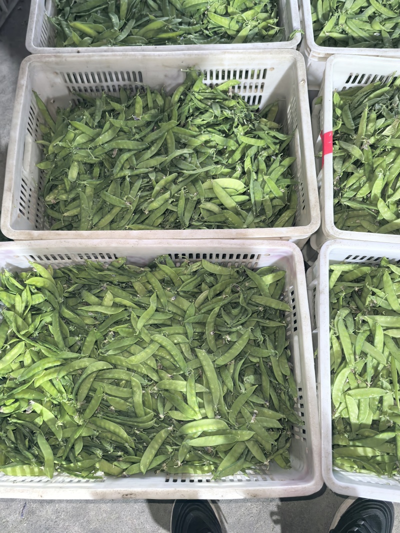 荷兰豆，夹豆，大量有货，承结市场，平台，超市支持视频看货
