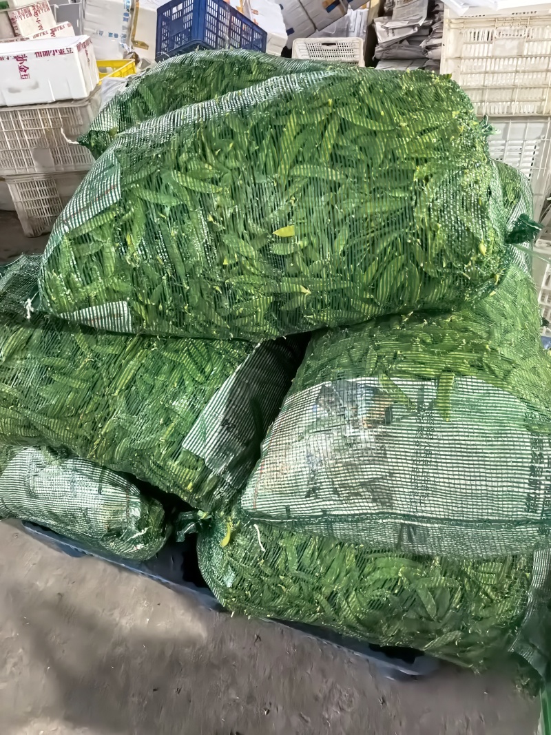 荷兰豆，夹豆，大量有货，承结市场，平台，超市支持视频看货