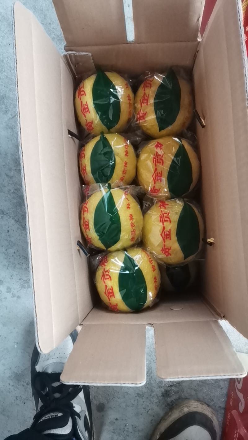 黄金贡柚，纯甜无酸，果然黄嫩，化渣细腻，核心产区。