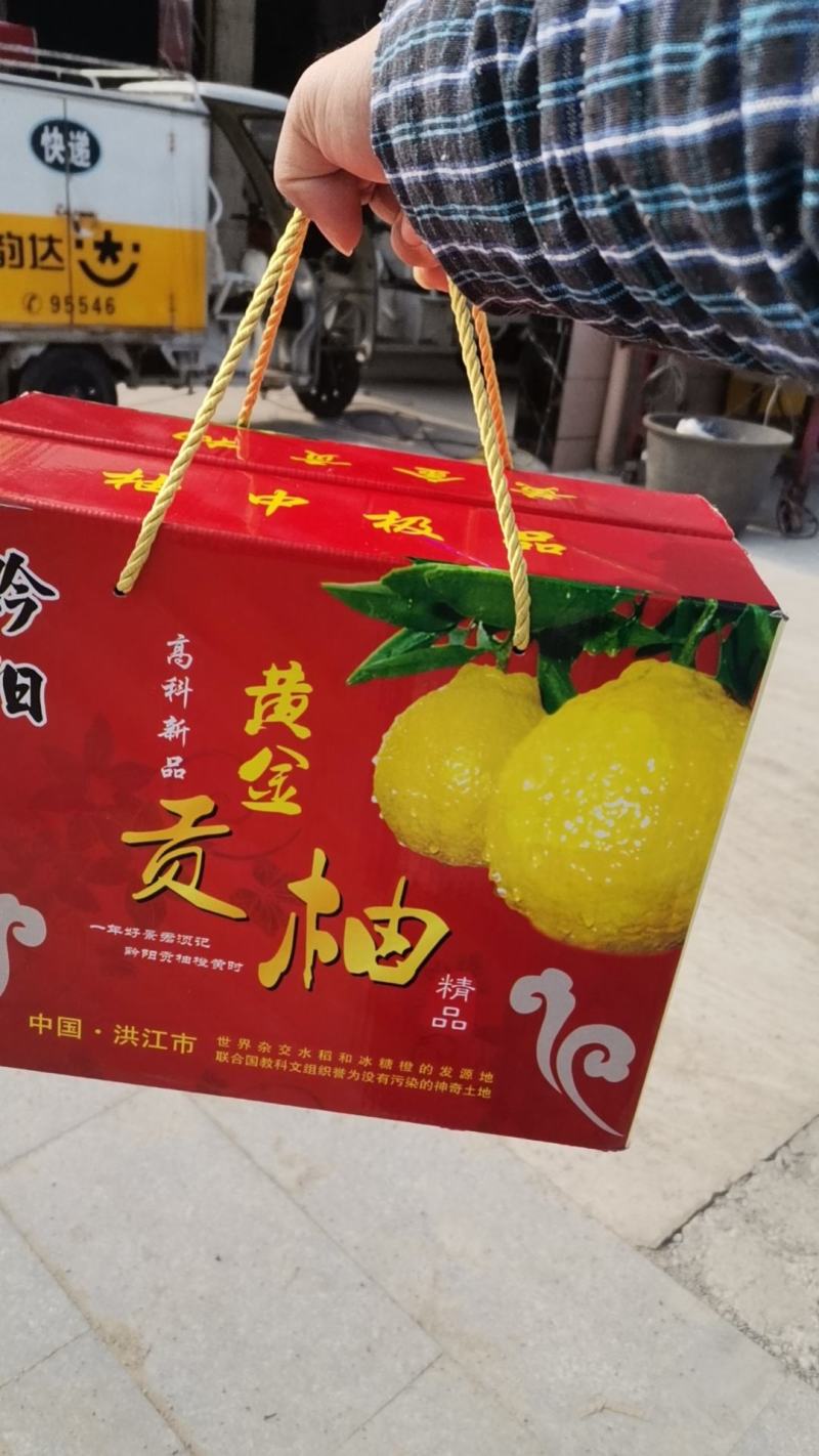 黄金贡柚，纯甜无酸，果然黄嫩，化渣细腻，核心产区。