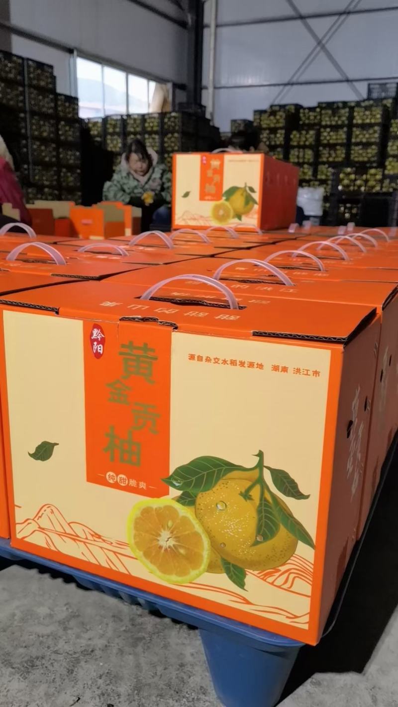 黄金贡柚，纯甜无酸，果然黄嫩，化渣细腻，核心产区。