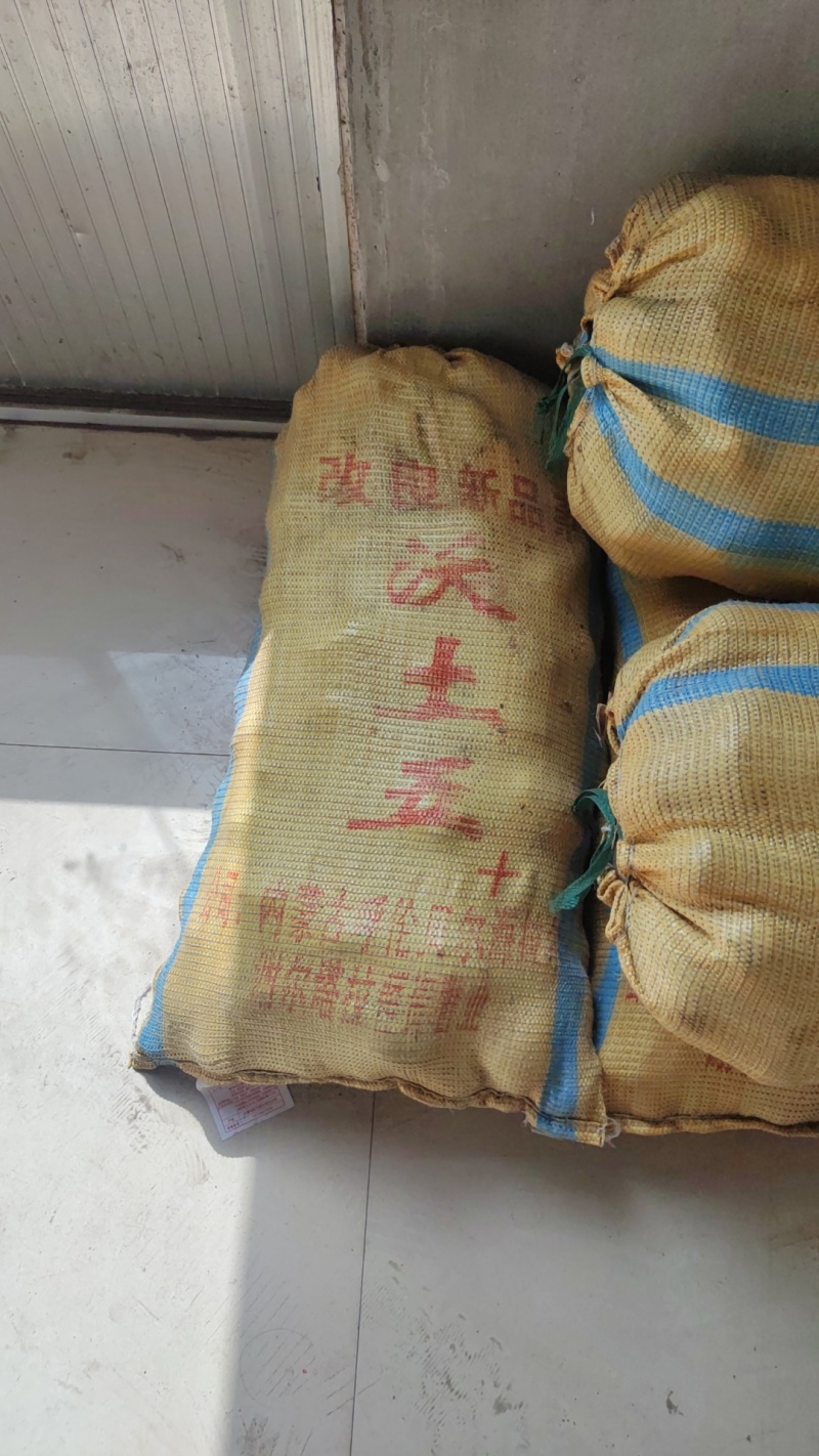 沃土5原种