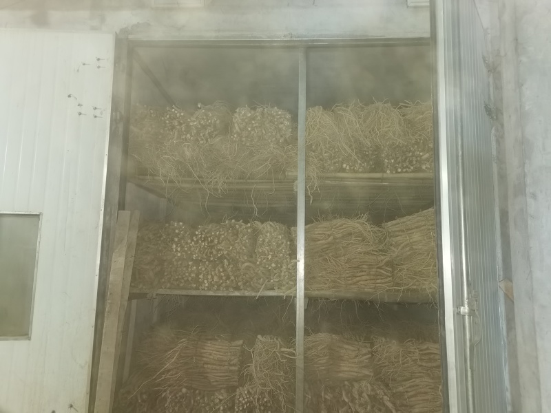 自己种植川牛膝低价出售