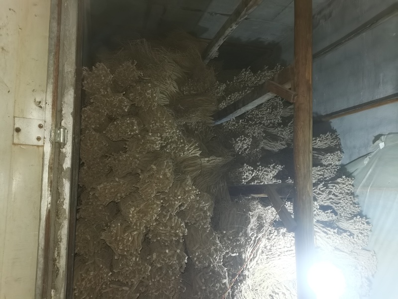 自己种植川牛膝低价出售