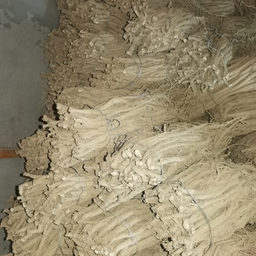 自己种植川牛膝低价出售