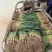 河南安阳红根蒜苗精品一对一质优价廉精品小苗粗细均匀