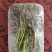 大棚反季节种植香椿芽儿