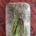 大棚反季节种植香椿芽儿