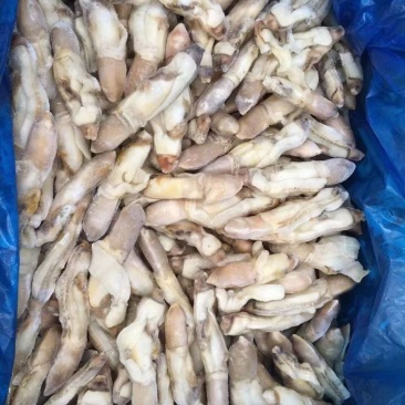 蛏肉，一件20斤，运费自理，物流，航空封发货
