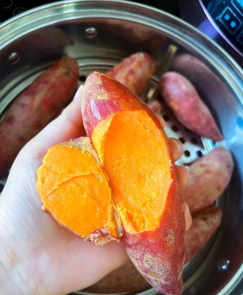 西瓜红精品西瓜红红薯大量供应货源充足品质保证