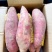 西瓜红精品西瓜红红薯大量供应货源充足品质保证