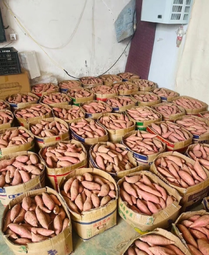 榴莲蜜薯优质红薯软糯香甜基地直发供应市场电商商超
