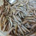 棍子鱼船丁鱼沙沟鱼船丁鱼黄鱼仔，常年供应，大量现货。。。