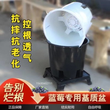 蓝莓种植基质专用盆加仑盆