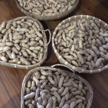 黑花生生果一件代发源头工厂全国发货