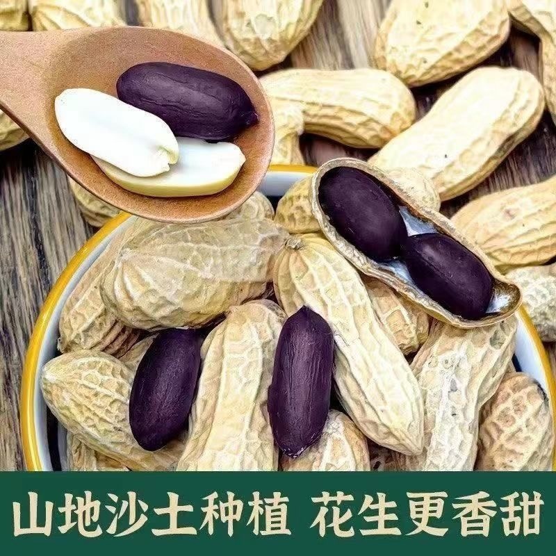 黑花生生果一件代发源头工厂全国发货