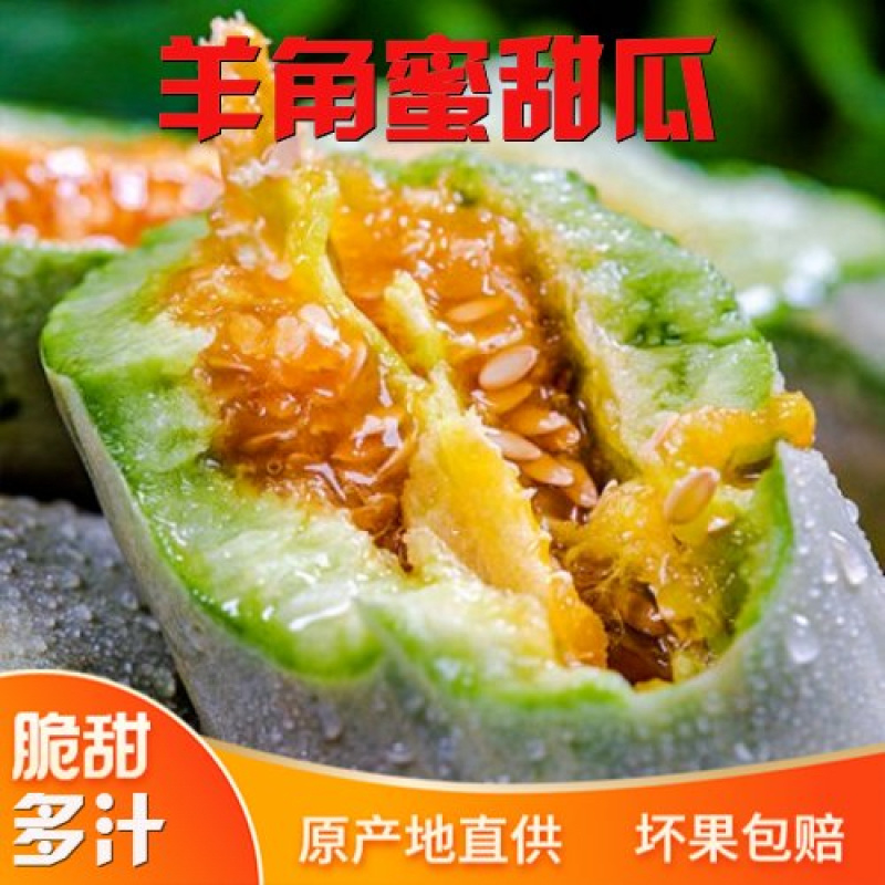 博洋61甜瓜