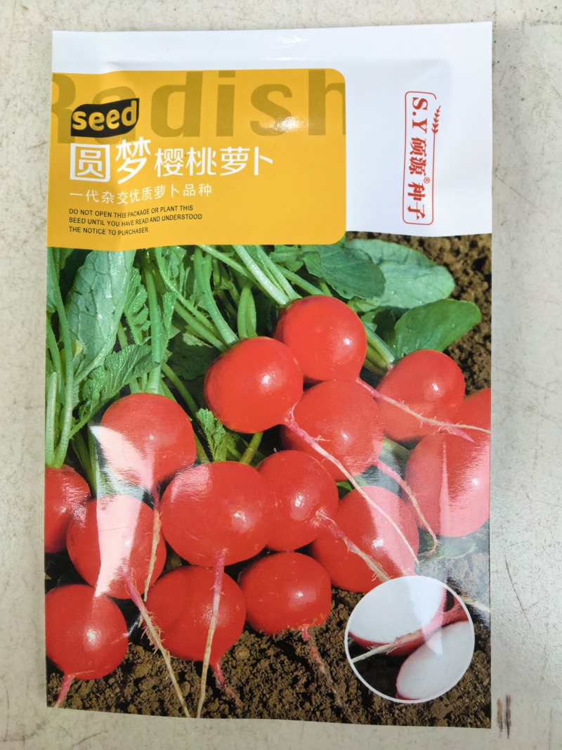 圆梦樱桃萝卜种子杂交早熟迷你圆形红皮白肉萝卜春秋四季蔬菜