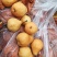 小果，丑梨，