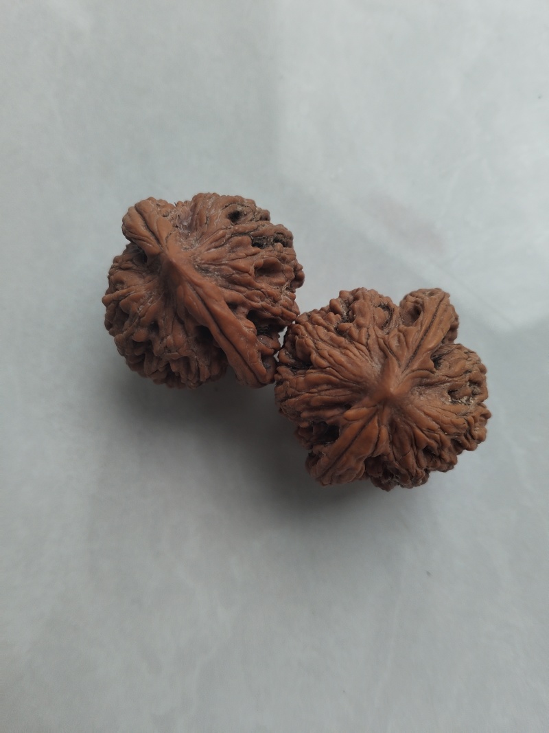 文玩核桃12到16一块钱一个一百起批