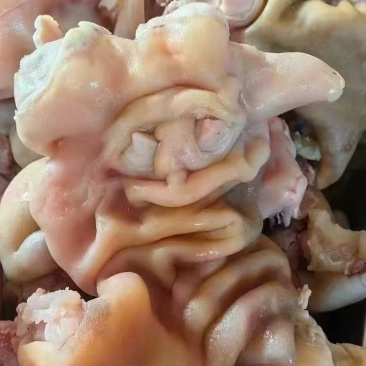 去骨熟牛蹄，精修处理这个质量真的是一点毛病都没有了