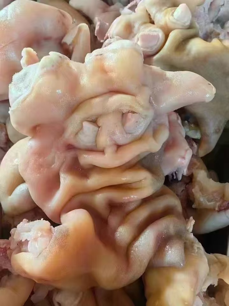 去骨熟牛蹄，精修处理这个质量真的是一点毛病都没有了