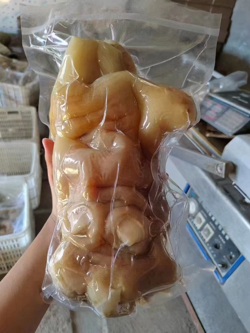 去骨熟牛蹄，精修处理这个质量真的是一点毛病都没有了
