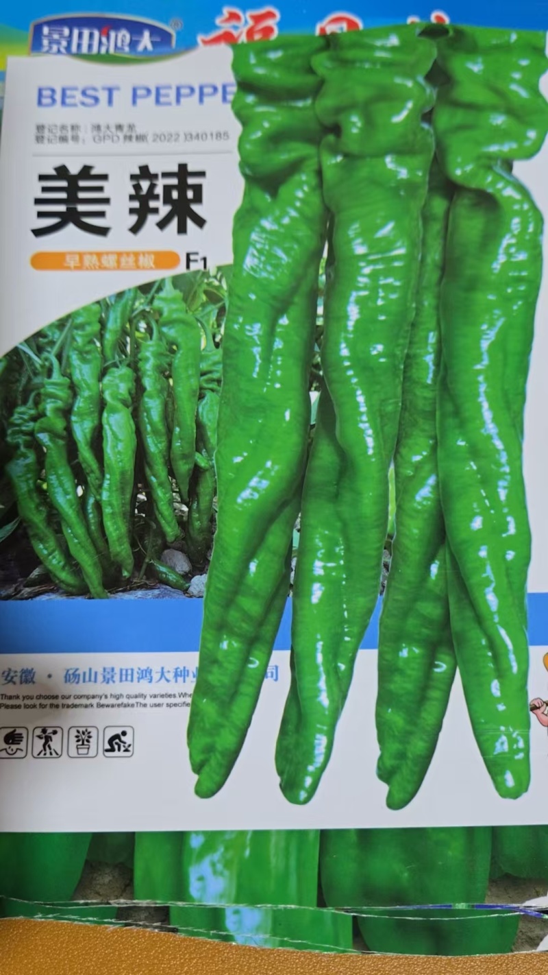 螺丝椒苗尖椒苗线椒苗方椒苗各种辣椒苗根系发达成活高