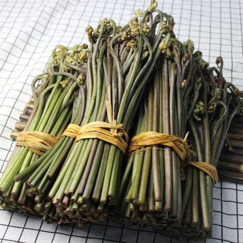 湖南麻阳富硒土壤野生厥菜
