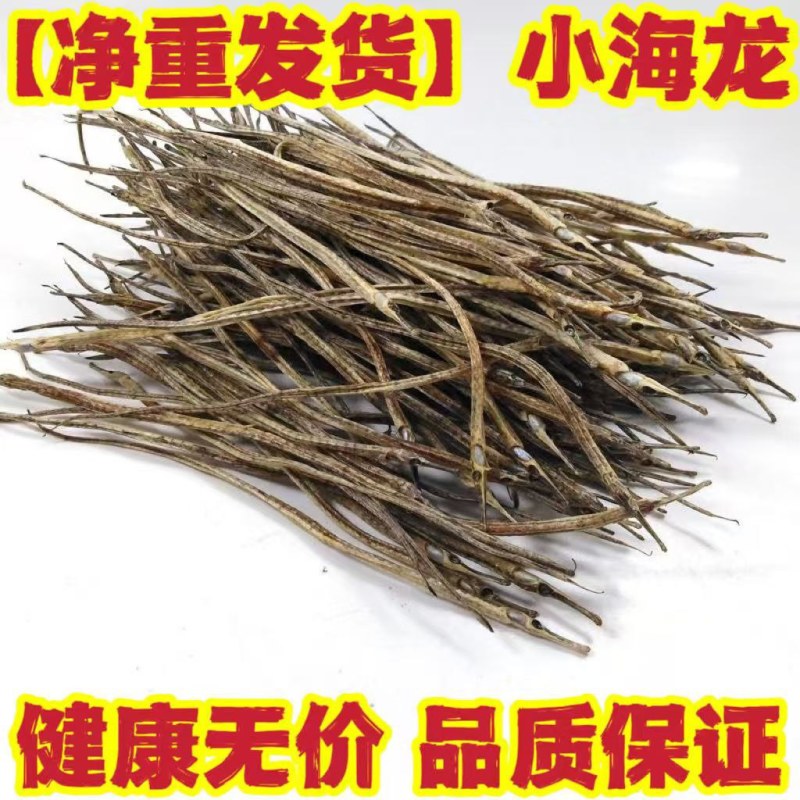 海龙，海龙干，渔民自晒泡酒海龙干中药海龙干一手货源