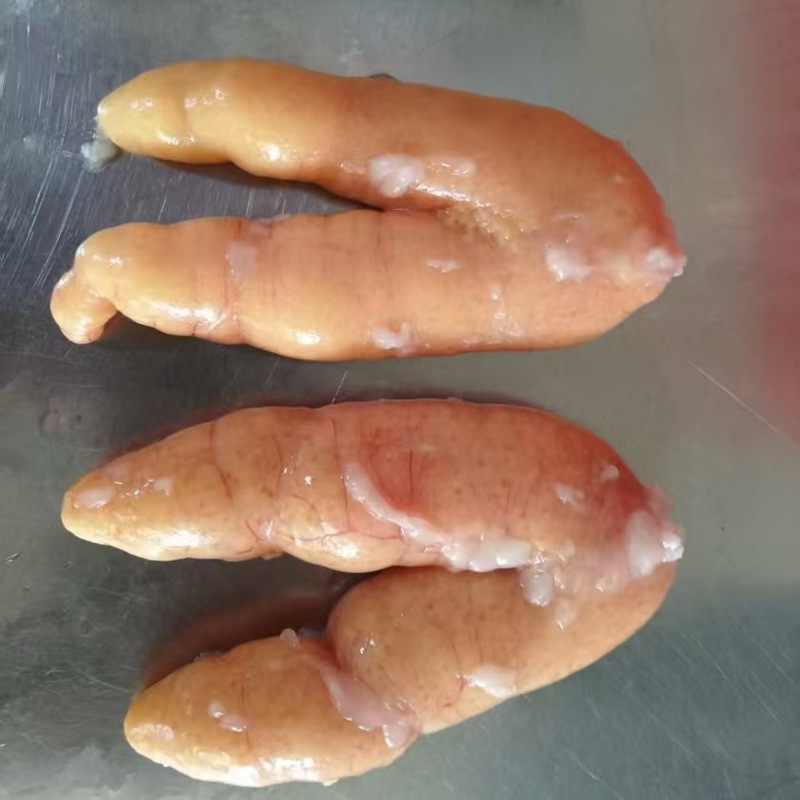 黑鱼籽