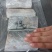 渤海刀鱼段