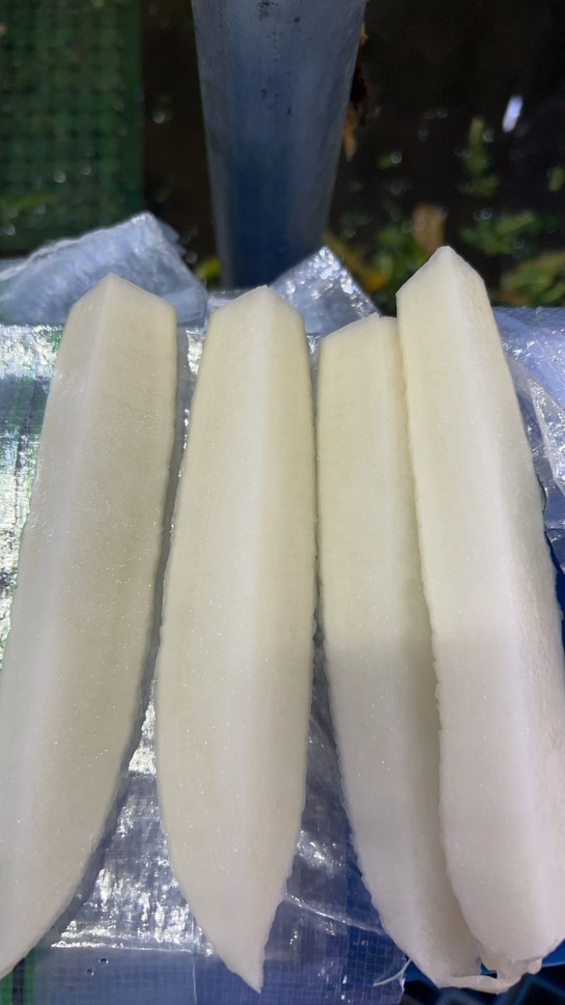 湖北白萝卜精品白萝卜农家自种萝卜现摘现卖