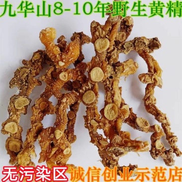 黄精野生黄精个规格齐全可供实体店批发零售量大价优