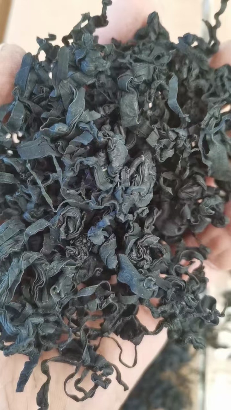裙带菜干裙带菜螺旋藻一斤泡发15斤厂家一手货源