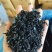 裙带菜干裙带菜螺旋藻一斤泡发15斤厂家一手货源