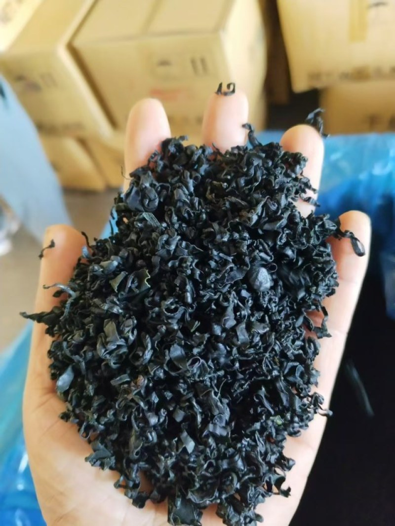 裙带菜干裙带菜螺旋藻一斤泡发15斤厂家一手货源