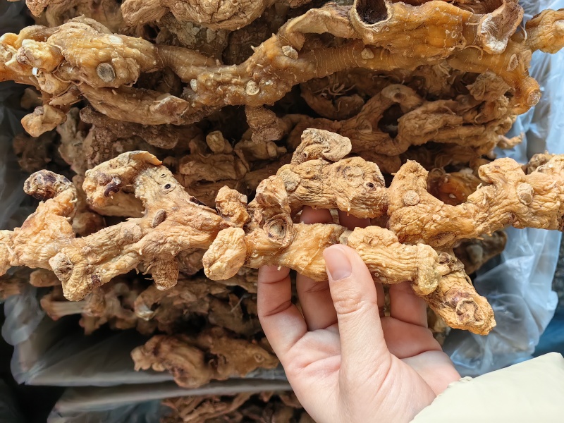 黄精野生黄精个规格齐全可供实体店批发零售量大价优