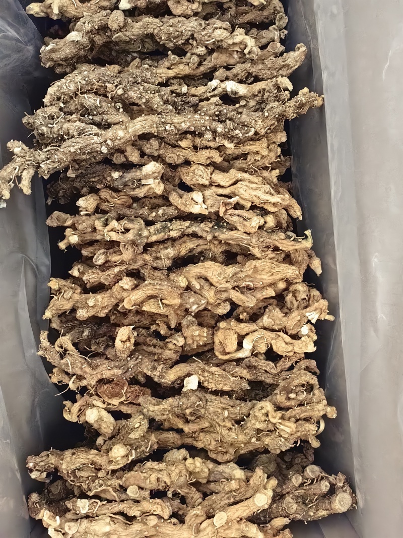 黄精野生黄精个规格齐全可供实体店批发零售量大价优