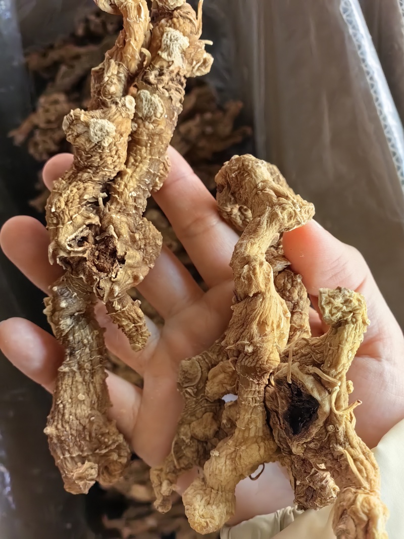 黄精野生黄精个规格齐全可供实体店批发零售量大价优