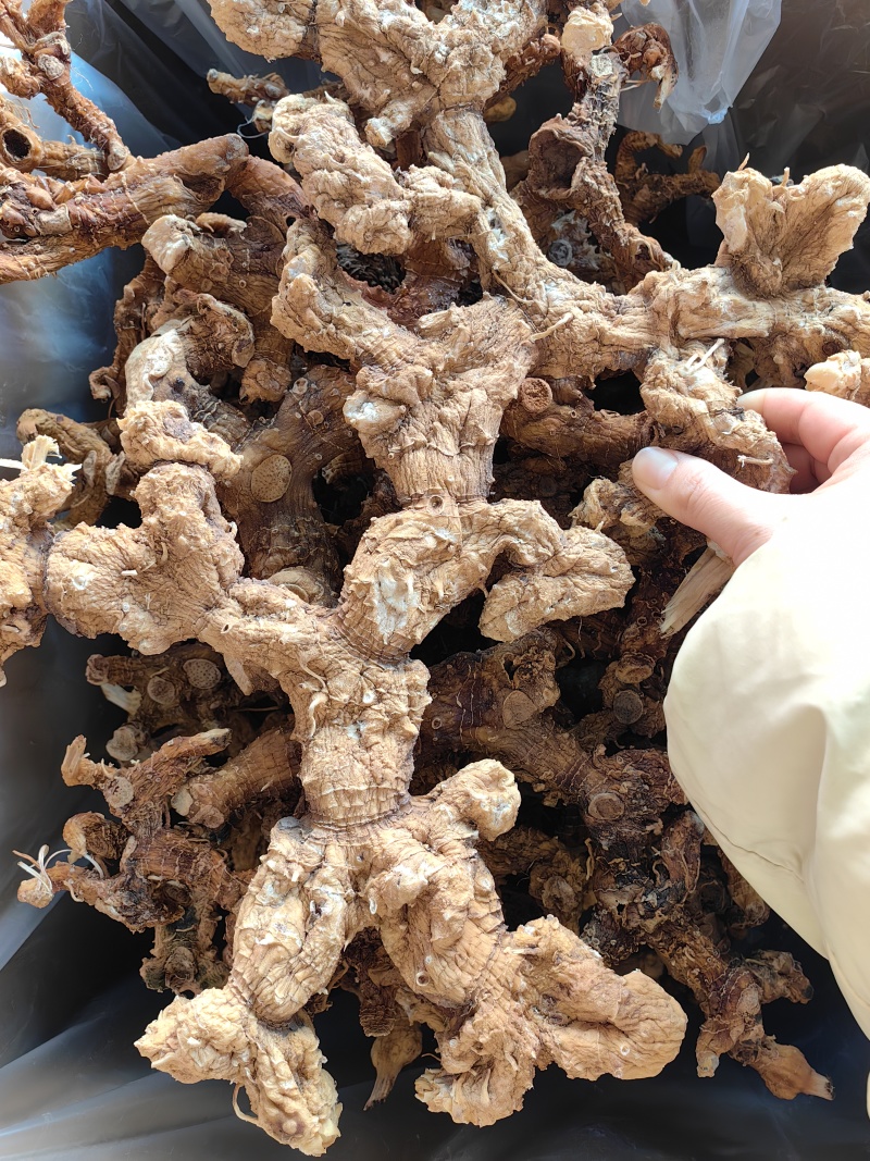 黄精野生黄精个规格齐全可供实体店批发零售量大价优