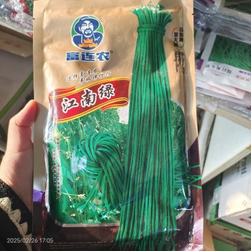 中禧翠禧长丰豆角种子耐高温长豇豆种子翠绿油亮400克